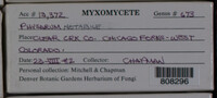 Image Associated With the Occurence